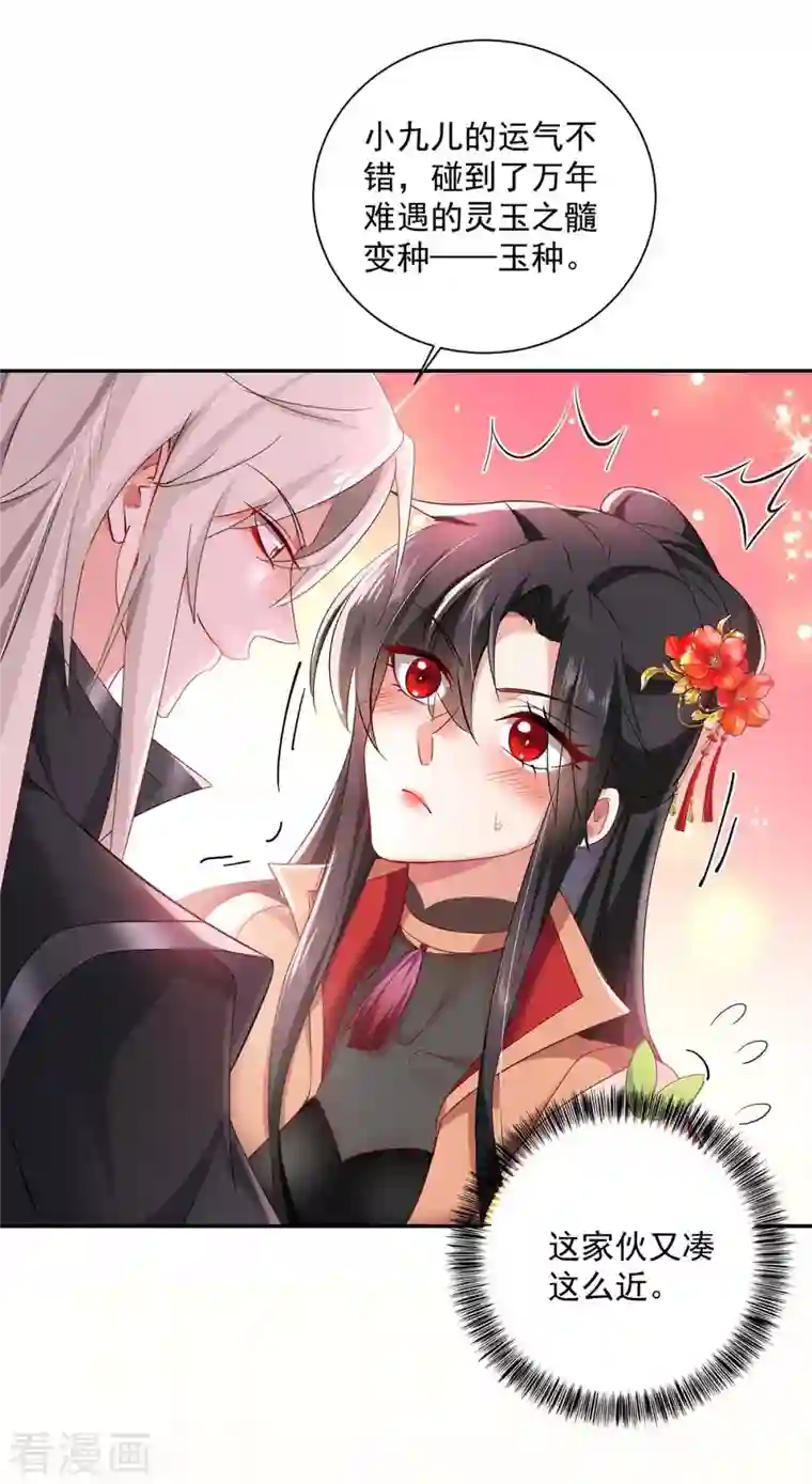 我在异界养男神：神医九小姐第136话 玉种