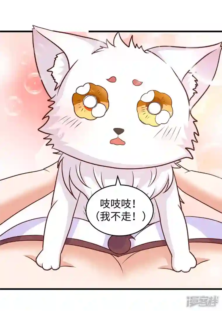 兽世狂妃：不当异界女海王第65话 小白