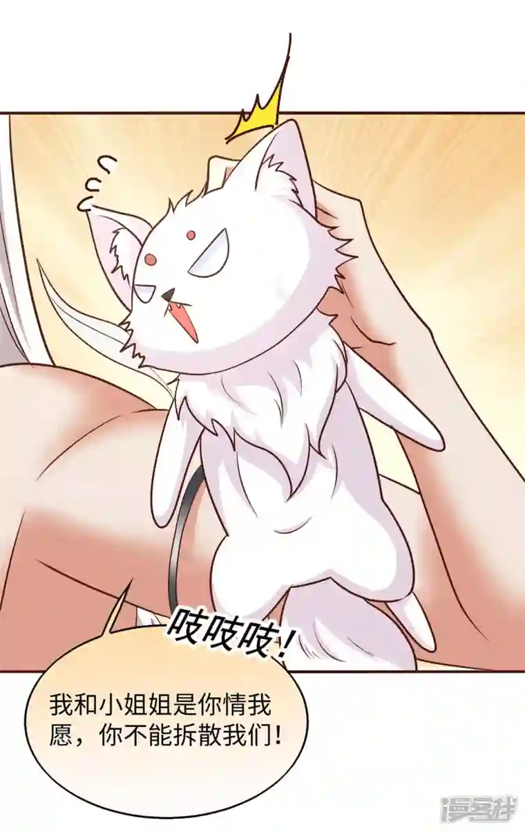 兽世狂妃：不当异界女海王第70话 绑架