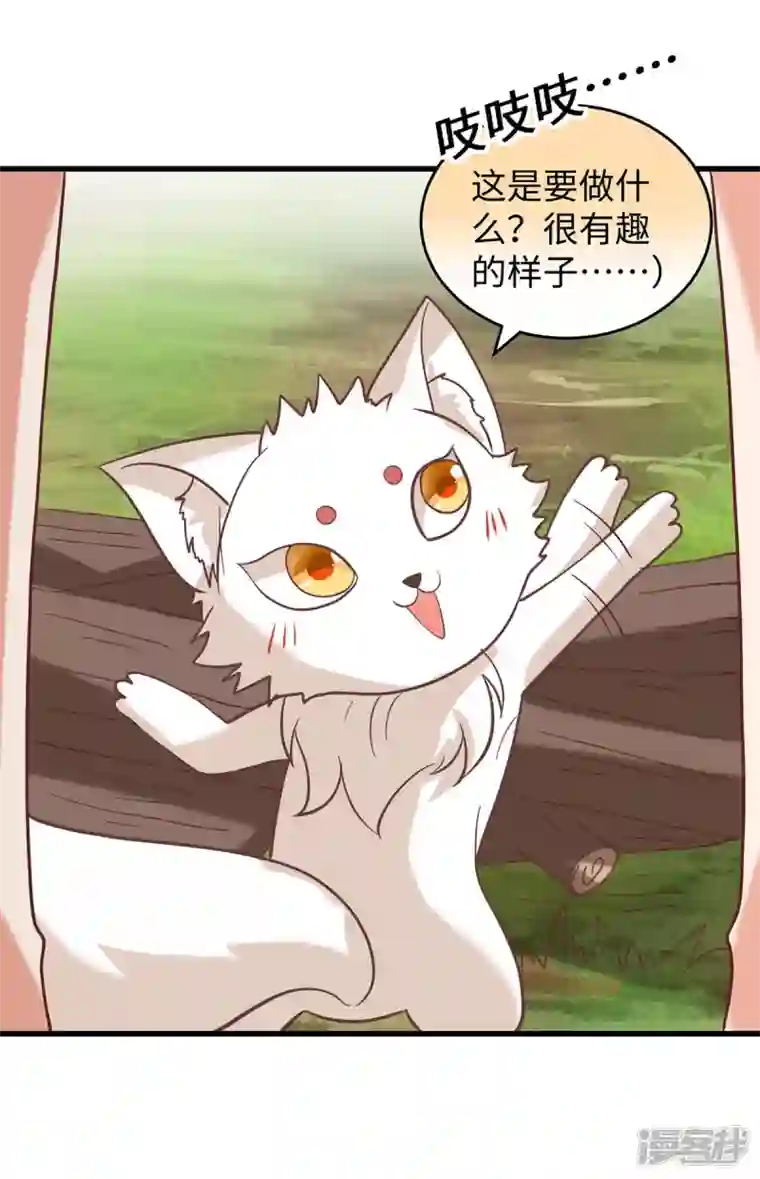 兽世狂妃：不当异界女海王第71话 小雨不见了