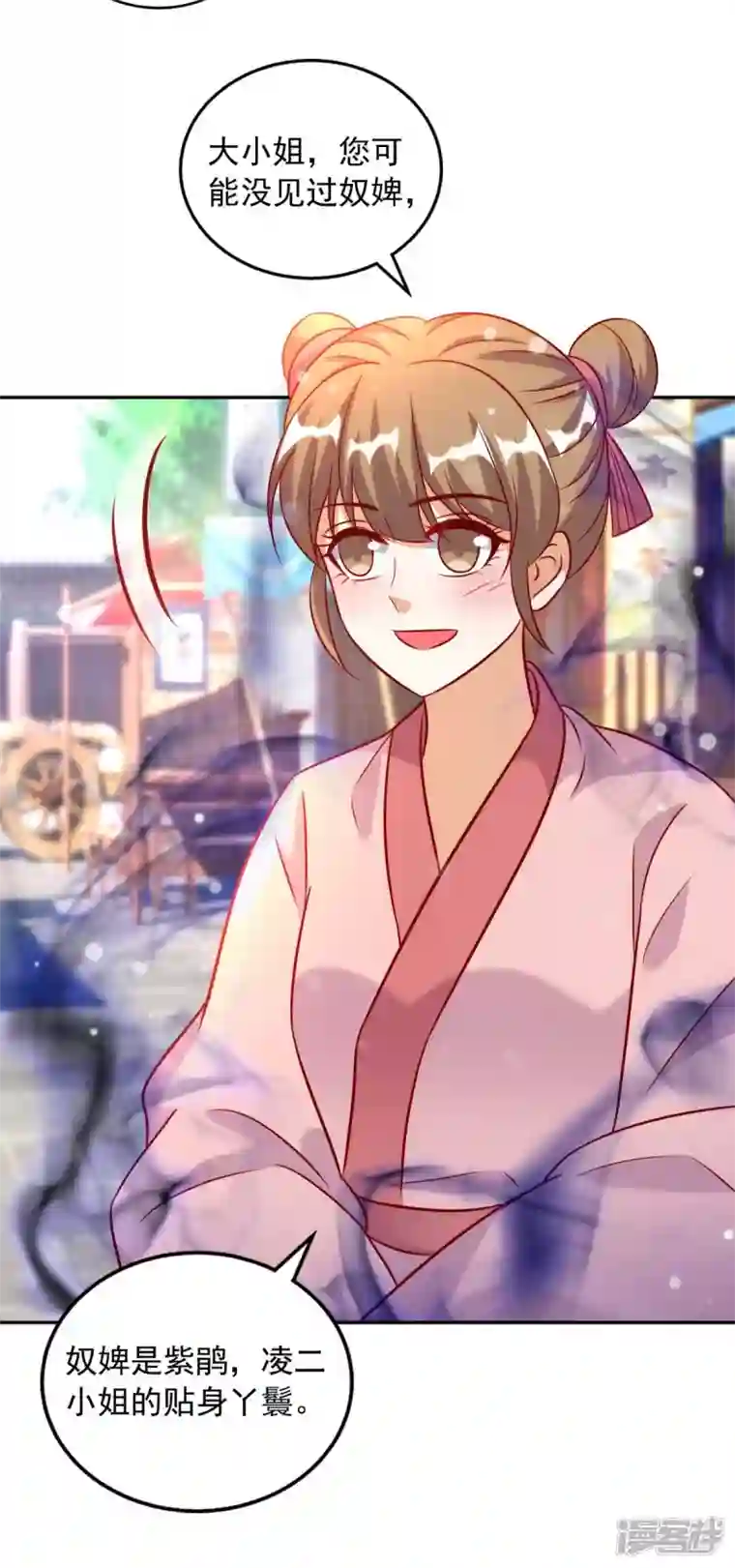 天机神术师：王爷相公不信邪第64话 国色天香凌宛云