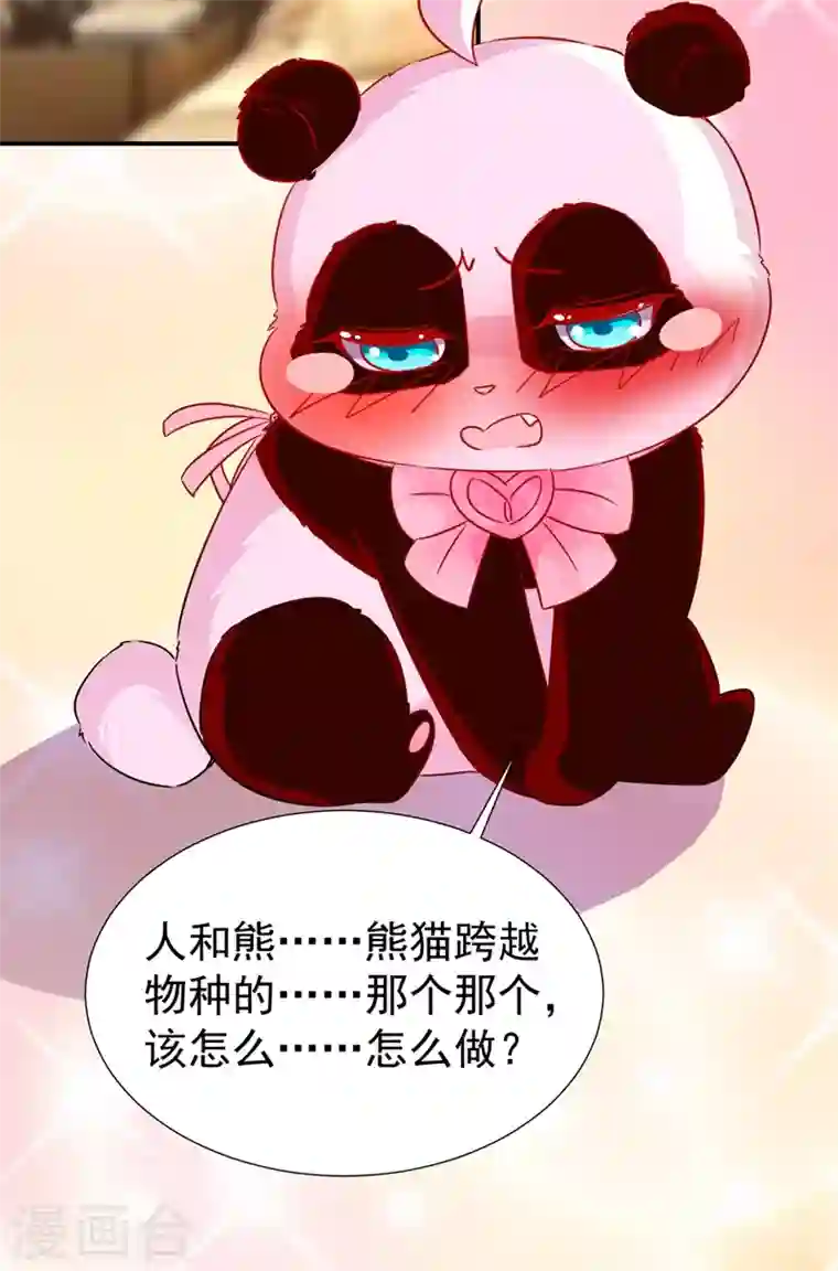 天降萌宝小熊猫：萌妃来袭现代篇82 你的演出包在我身上