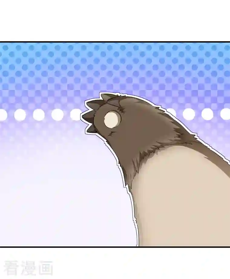 天降萌宝小熊猫：萌妃来袭现代篇109 怎么会这样？！