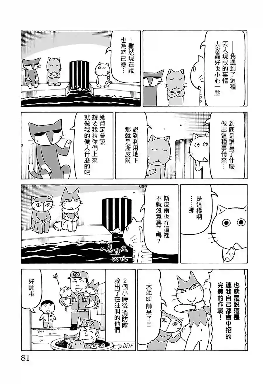 我家的街猫第488话
