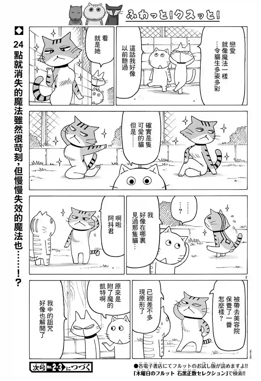 我家的街猫第491话