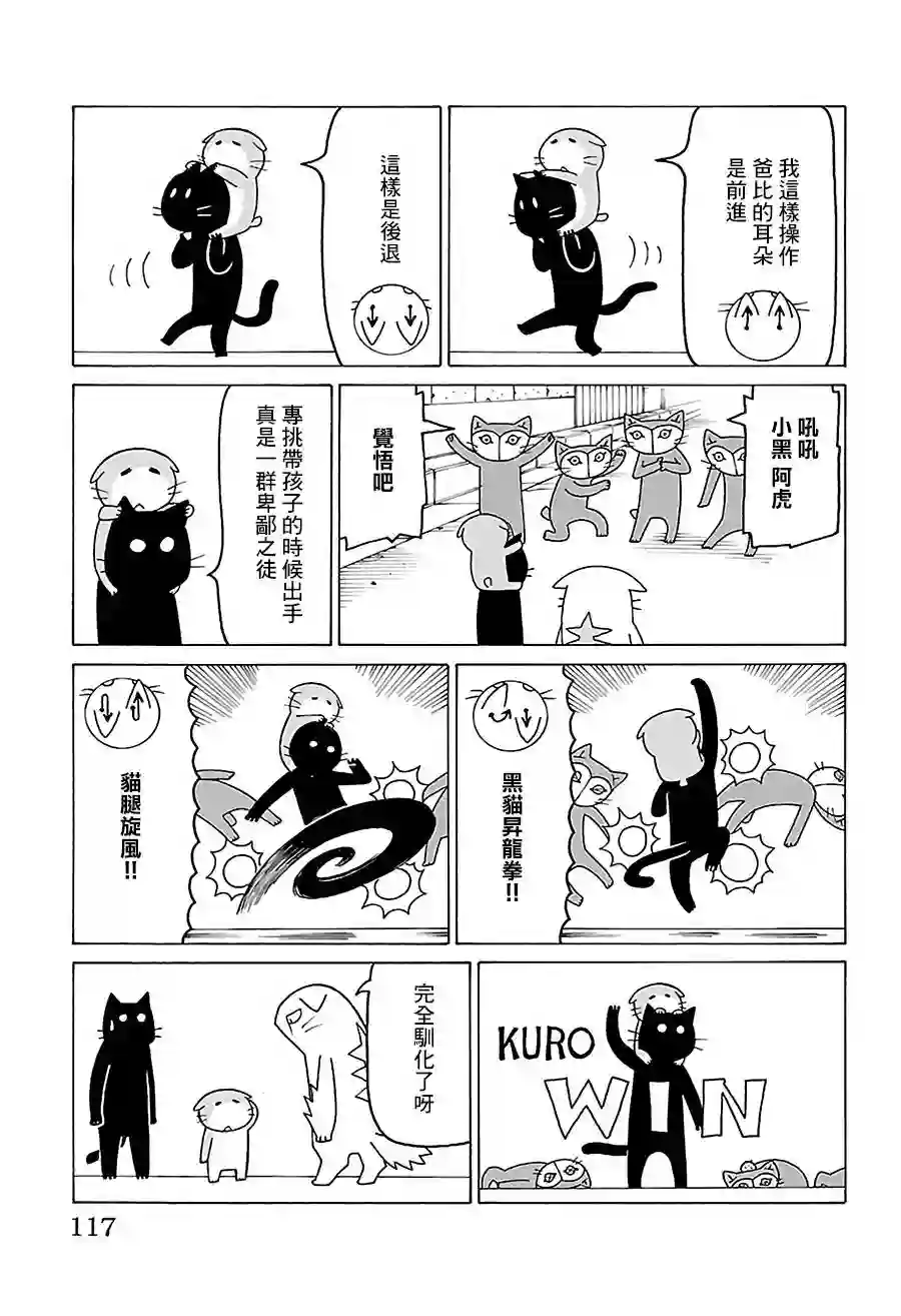 我家的街猫第506话