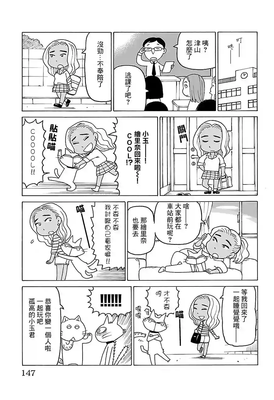 我家的街猫第519话