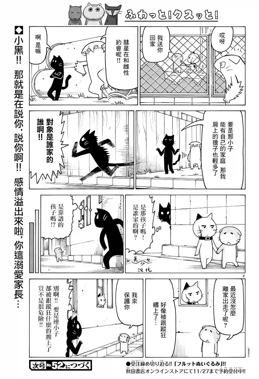 我家的街猫第538话