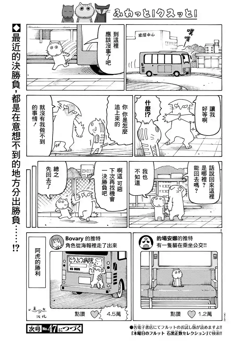 我家的街猫第581话