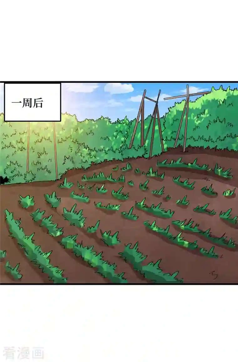 我在末世捡属性第68话 基地大丰收