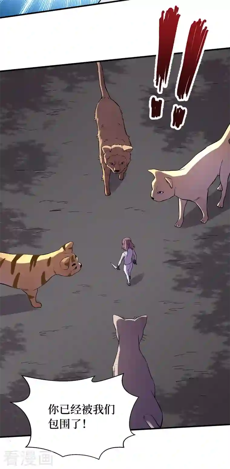 我在末世捡属性第93话 前往市中心