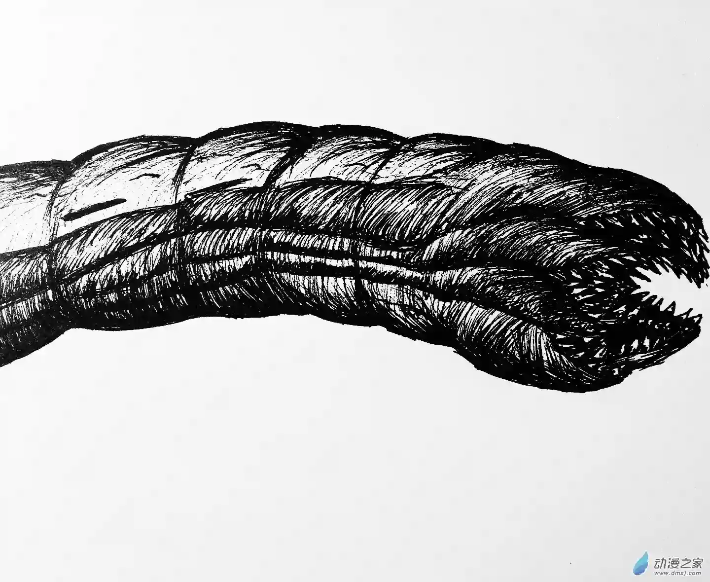 想象之书14 巨噬蠕虫