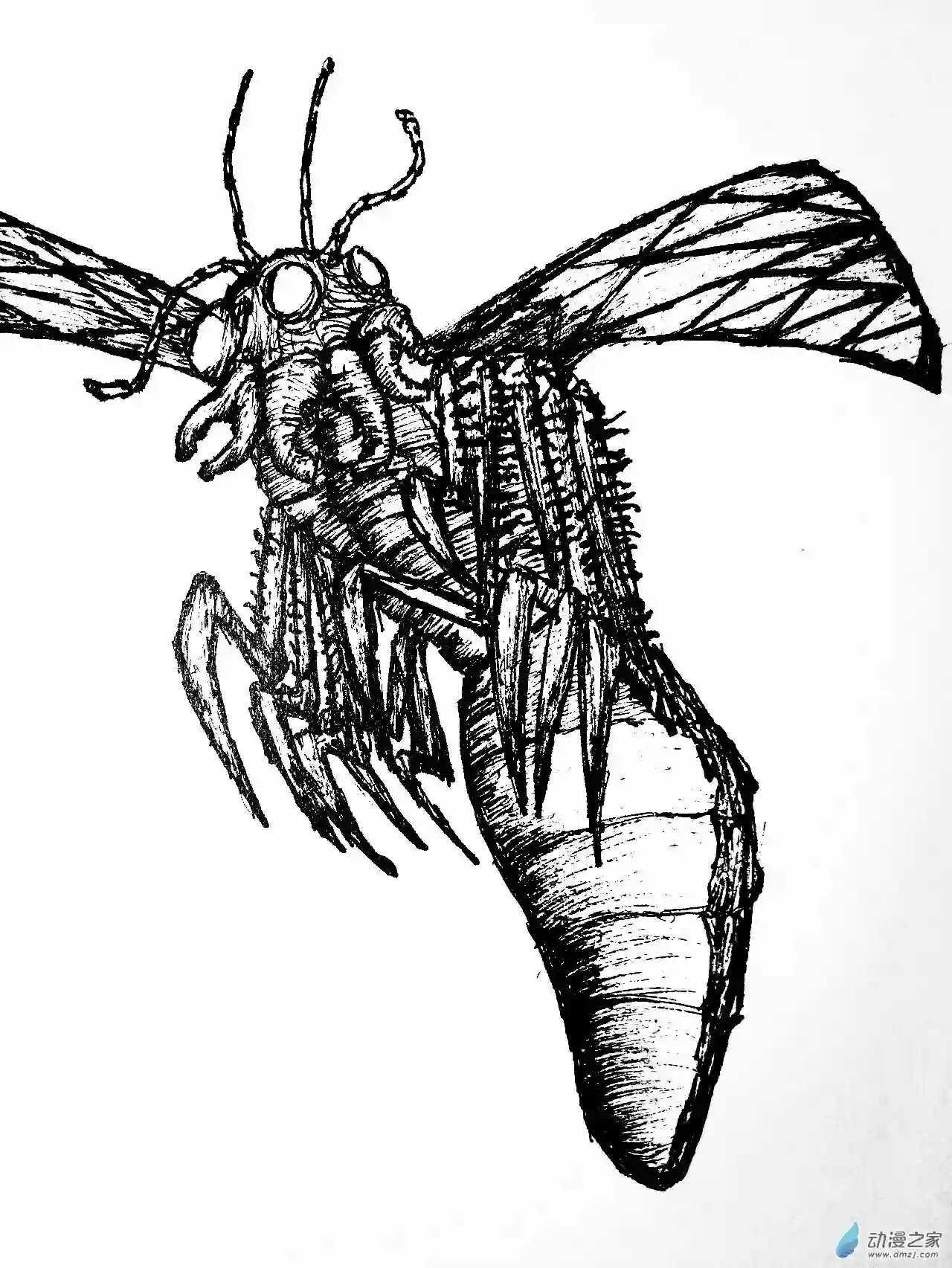 想象之书15 夏盖虫族