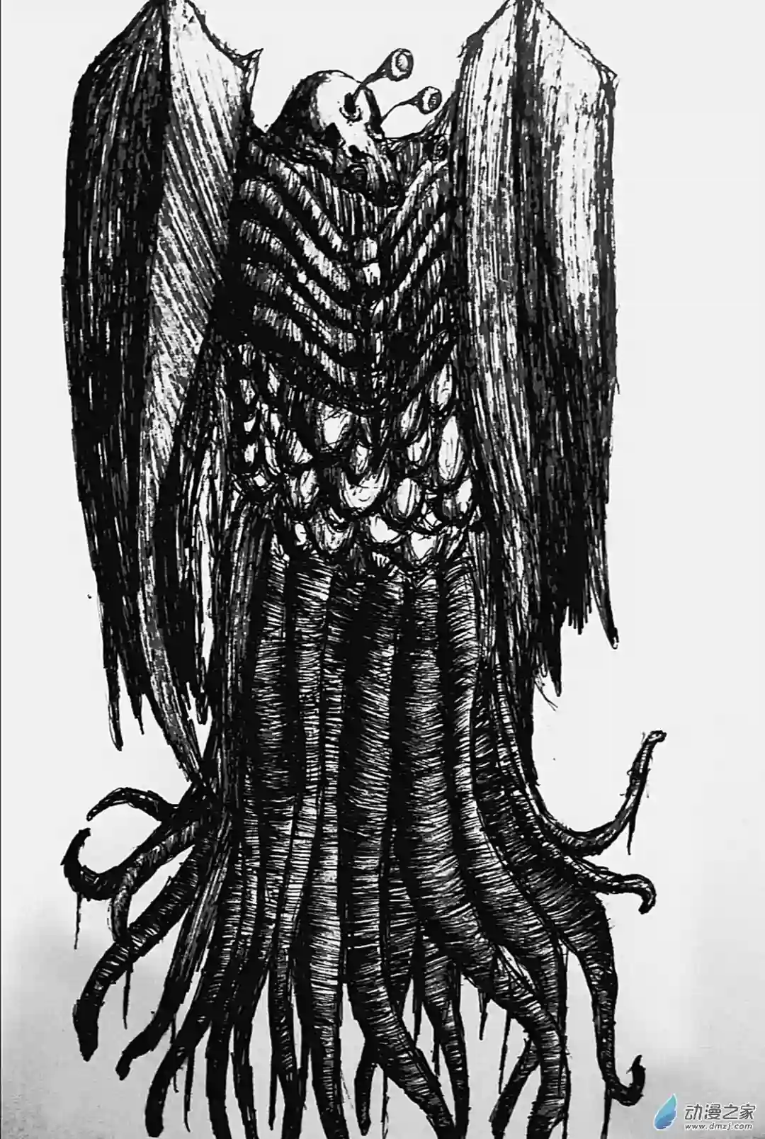 想象之书49 伊波•兹特尔