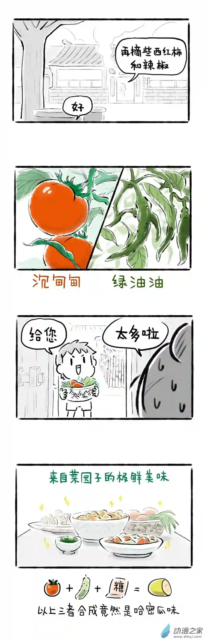 绵绵细雨织回忆11话 菜园子