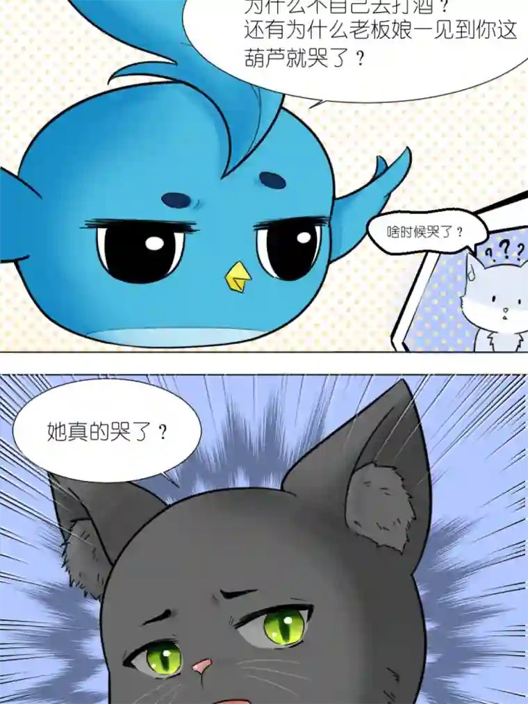 乌拉乌拉刁小禾碰瓷猫