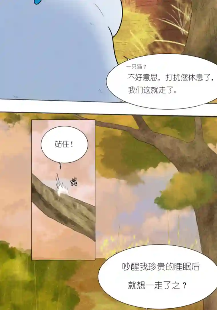 乌拉乌拉刁小禾碰瓷猫