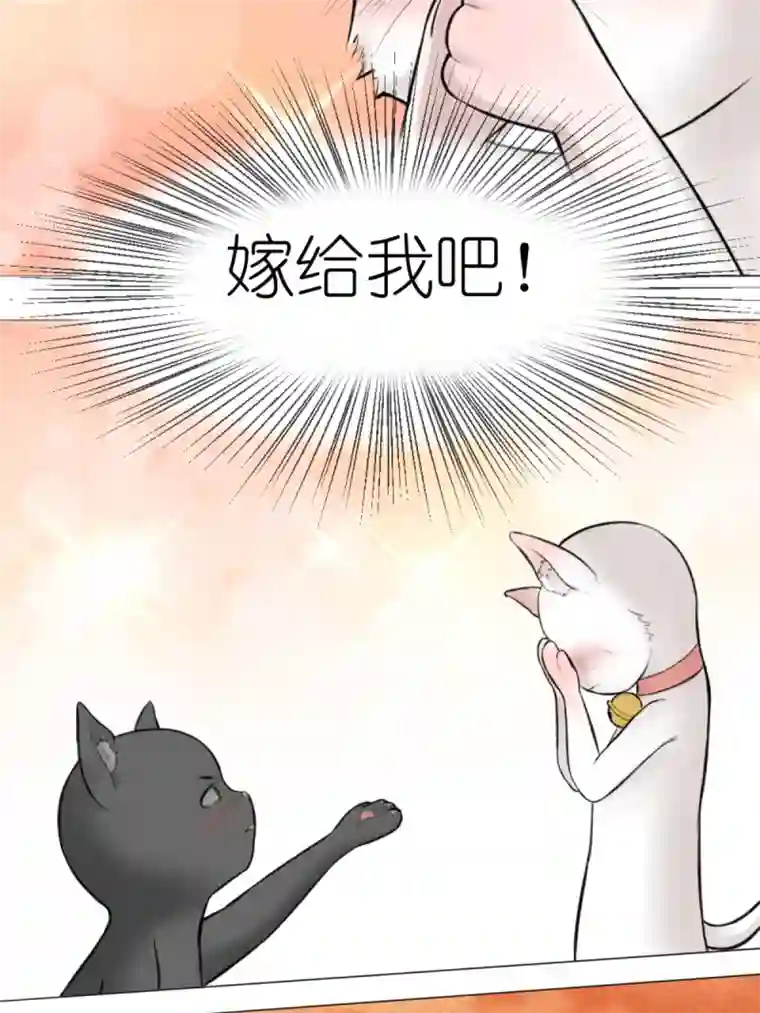 乌拉乌拉刁小禾我摊牌了