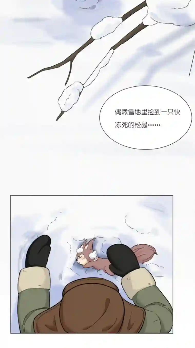 乌拉乌拉刁小禾松鼠将军