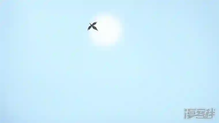 王者荣耀·末日边境第七章 新伙伴