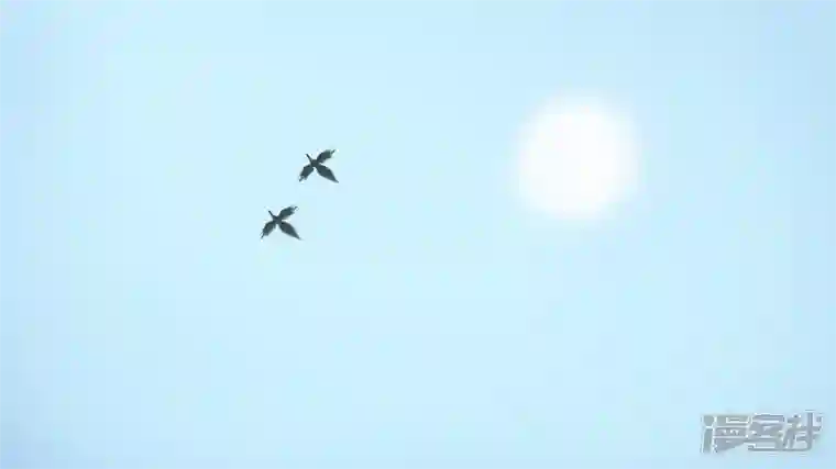 王者荣耀·末日边境第七章 新伙伴