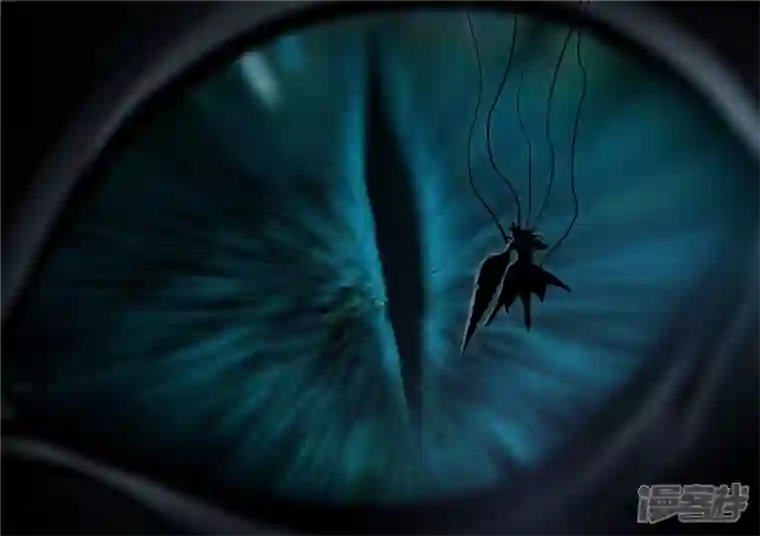 王者荣耀·末日边境第一百一十三章 困‘兽’之斗