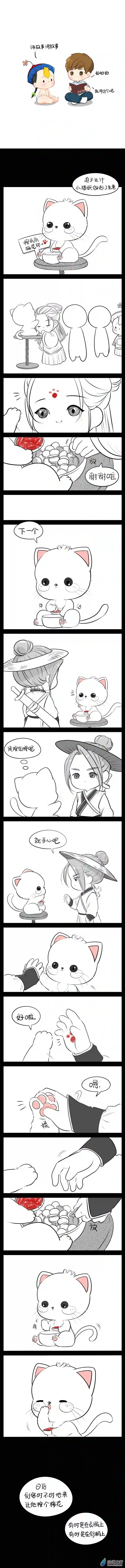 诶？捡到一个小僵尸 第二季小猫妖