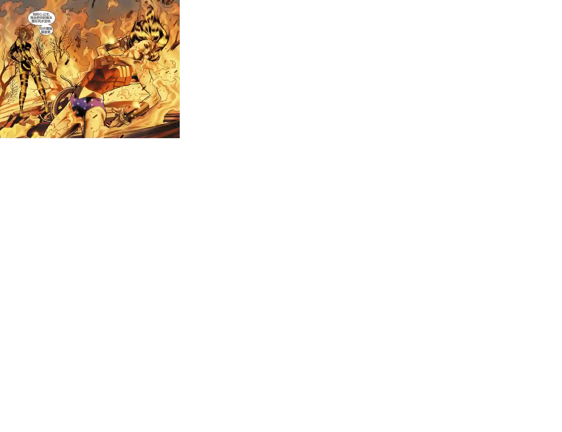 动感漫画：神奇☆女侠领衔主演第13卷