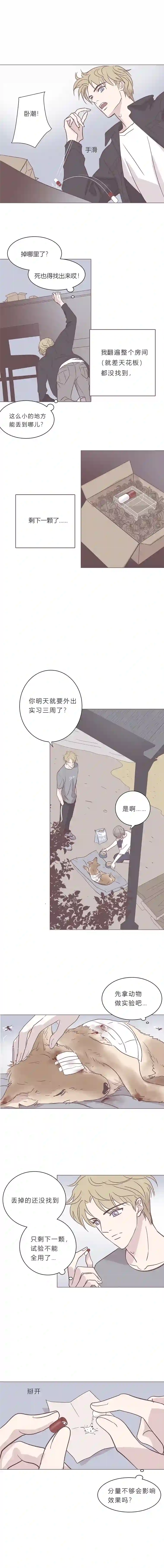 无氧之爱第五十二话 普通男生