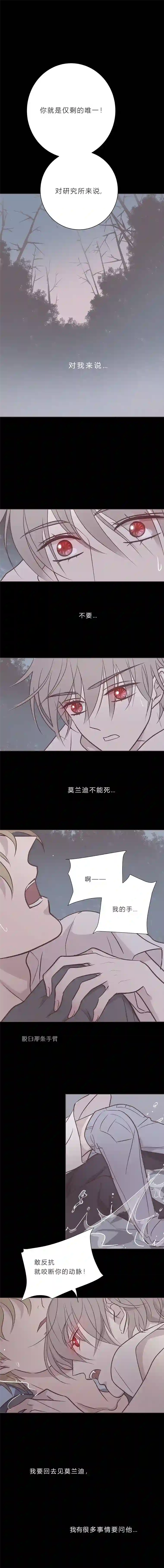 无氧之爱第八十七话 杀死爱情杀死吸血鬼