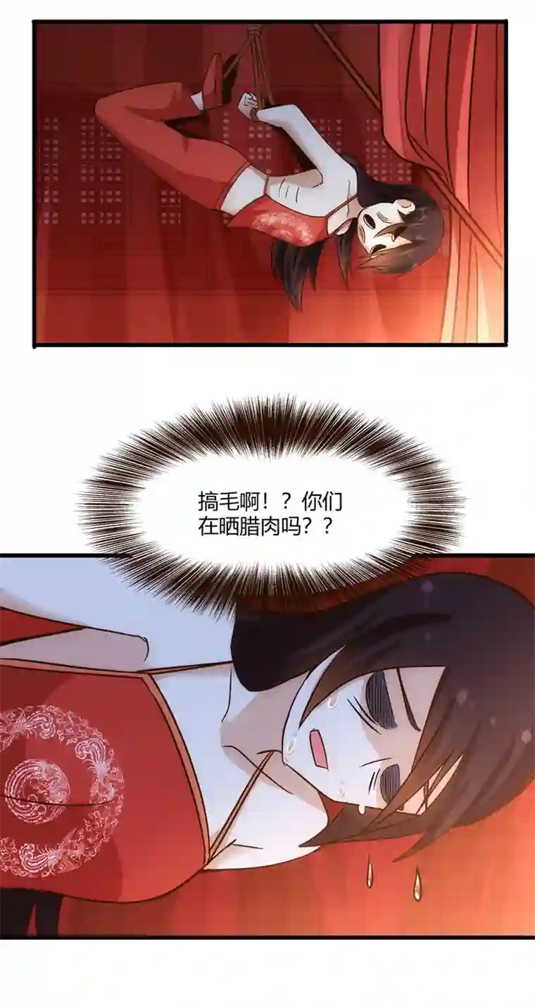 妃哥传07 杨薇蓝