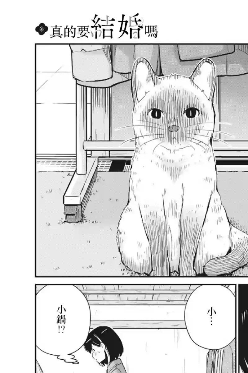 真的要结婚吗？！第42话