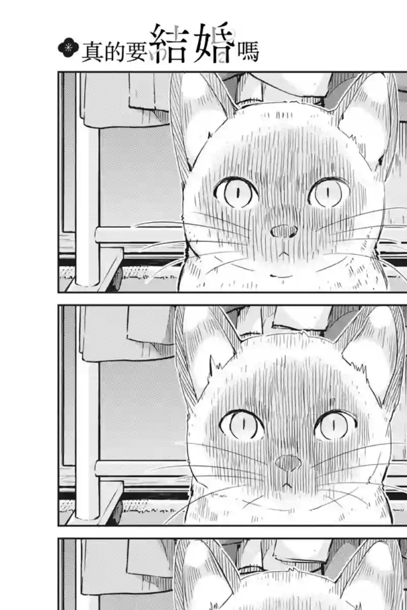 真的要结婚吗？！第42话
