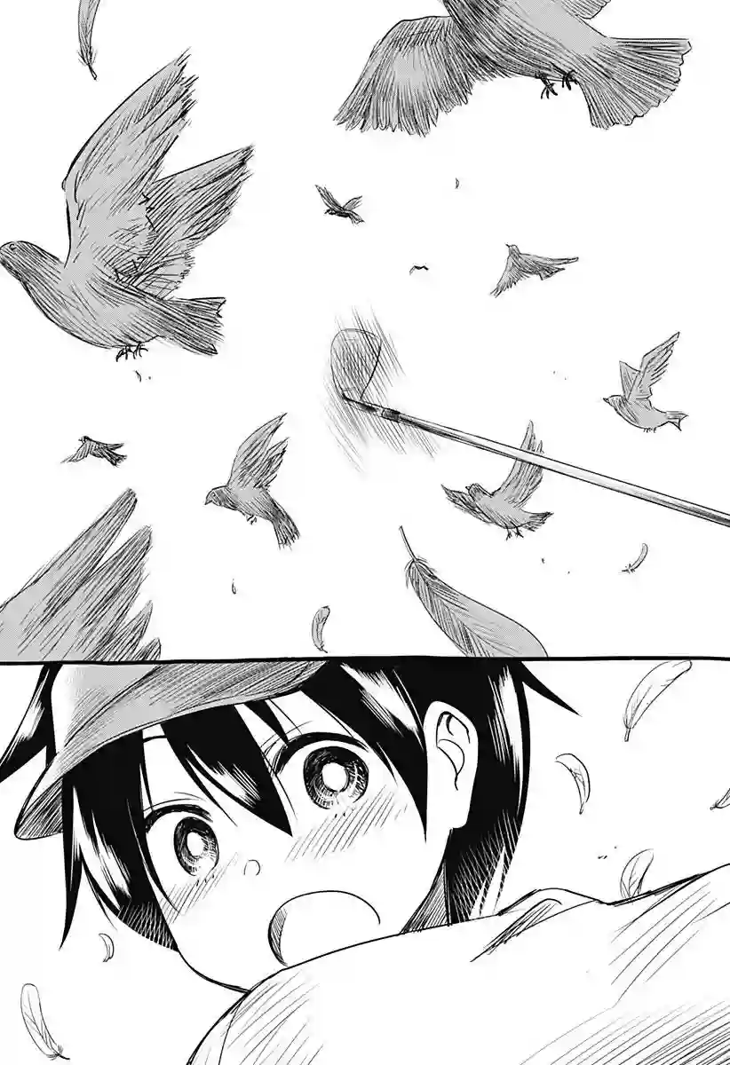 飞向晴空的小鸟球第04话