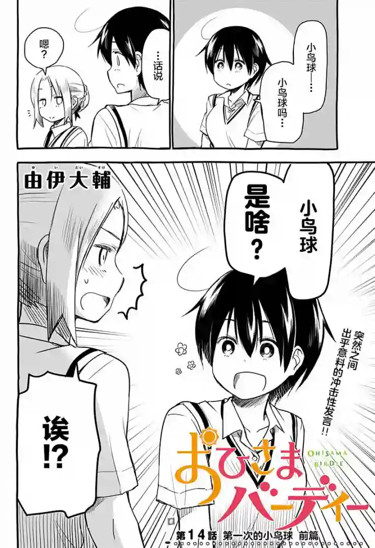 飞向晴空的小鸟球第14话