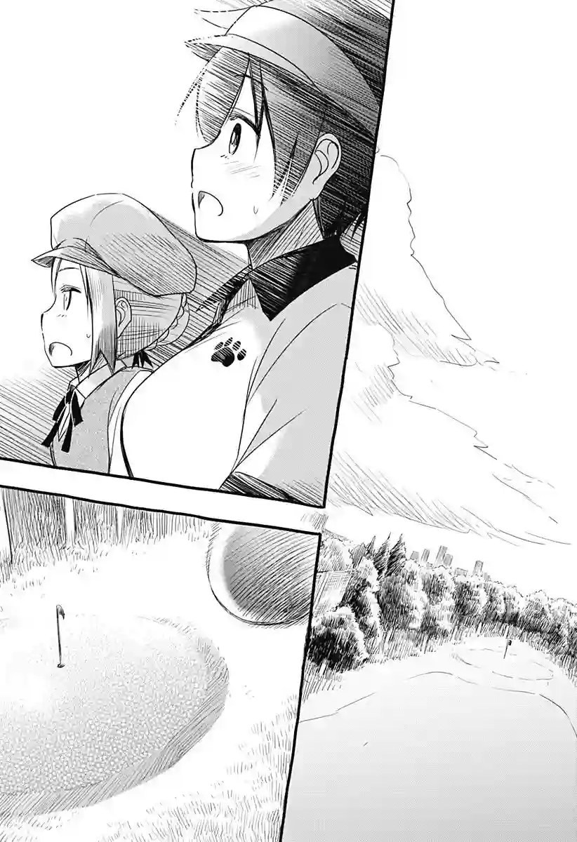 飞向晴空的小鸟球最终话