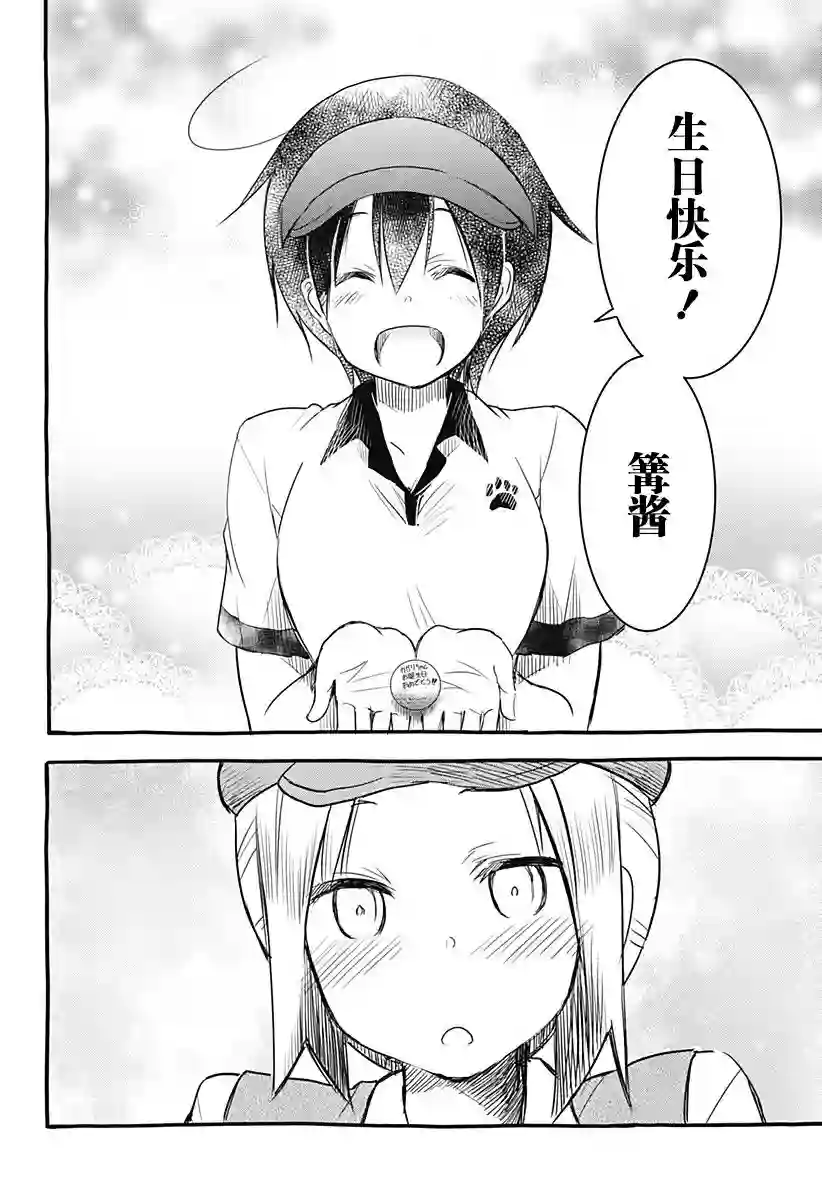 飞向晴空的小鸟球最终话