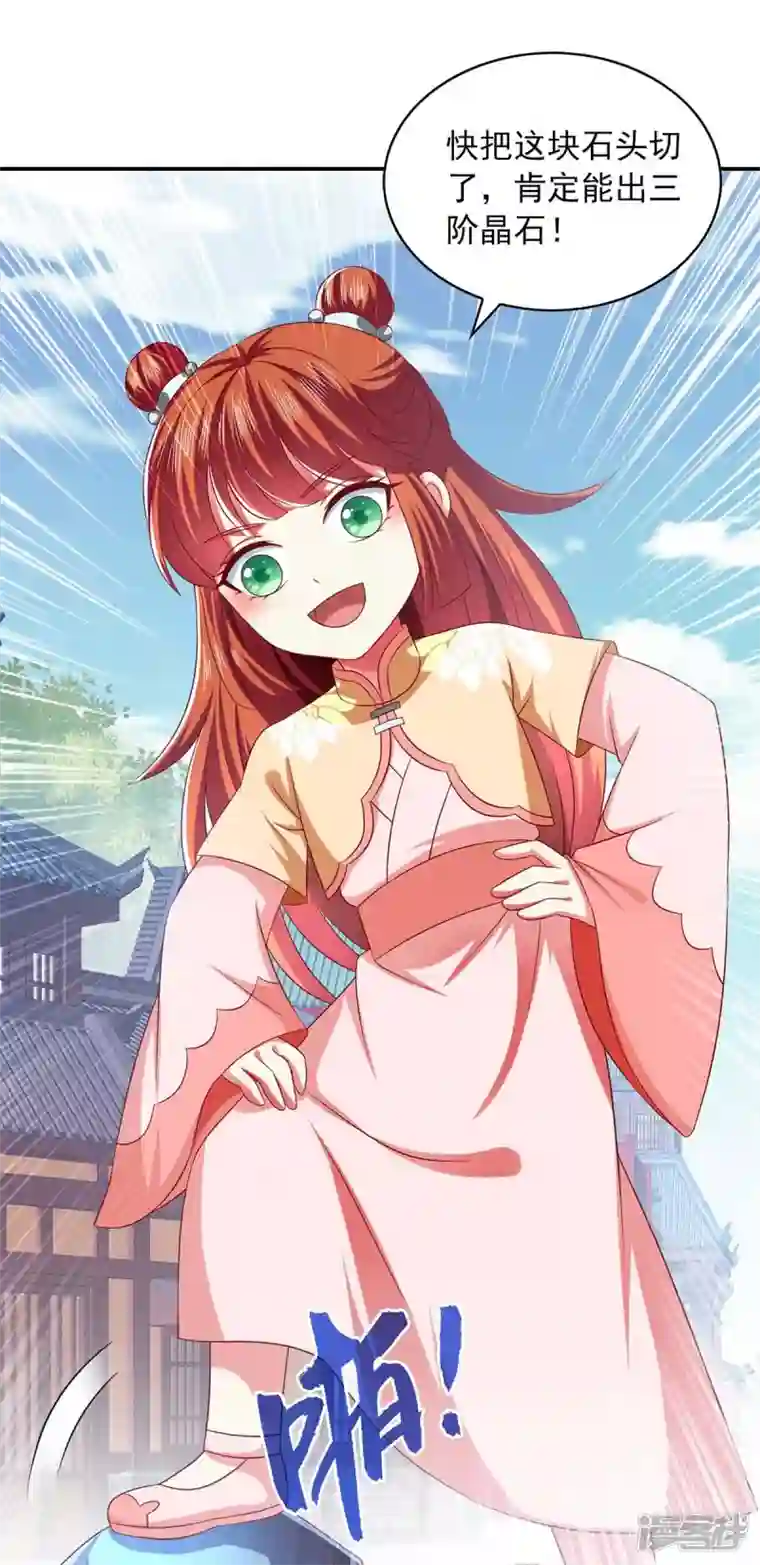 魔君霸宠：天才萌宝腹黑娘亲第54话 赌石