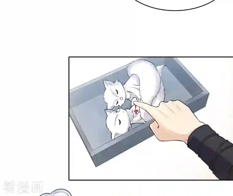 长相思第63话 出逃