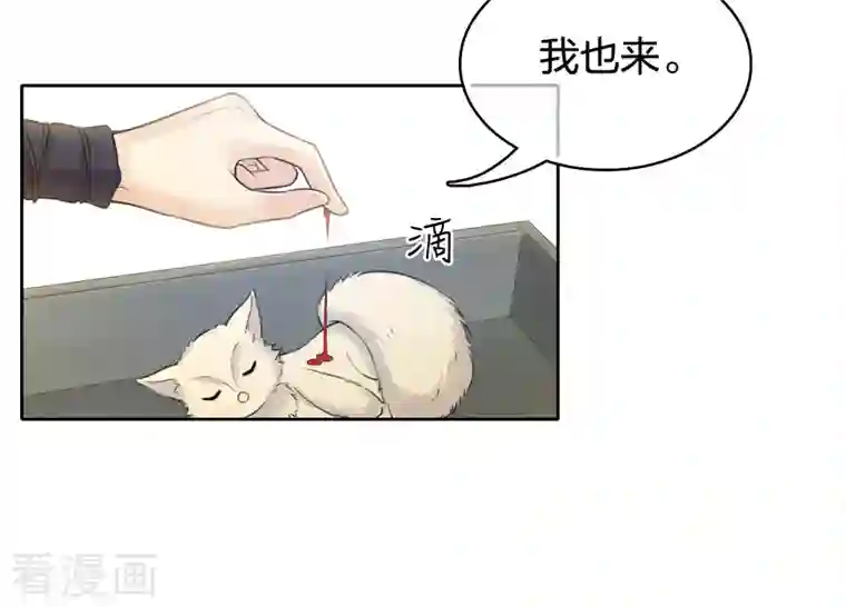 长相思第63话 出逃