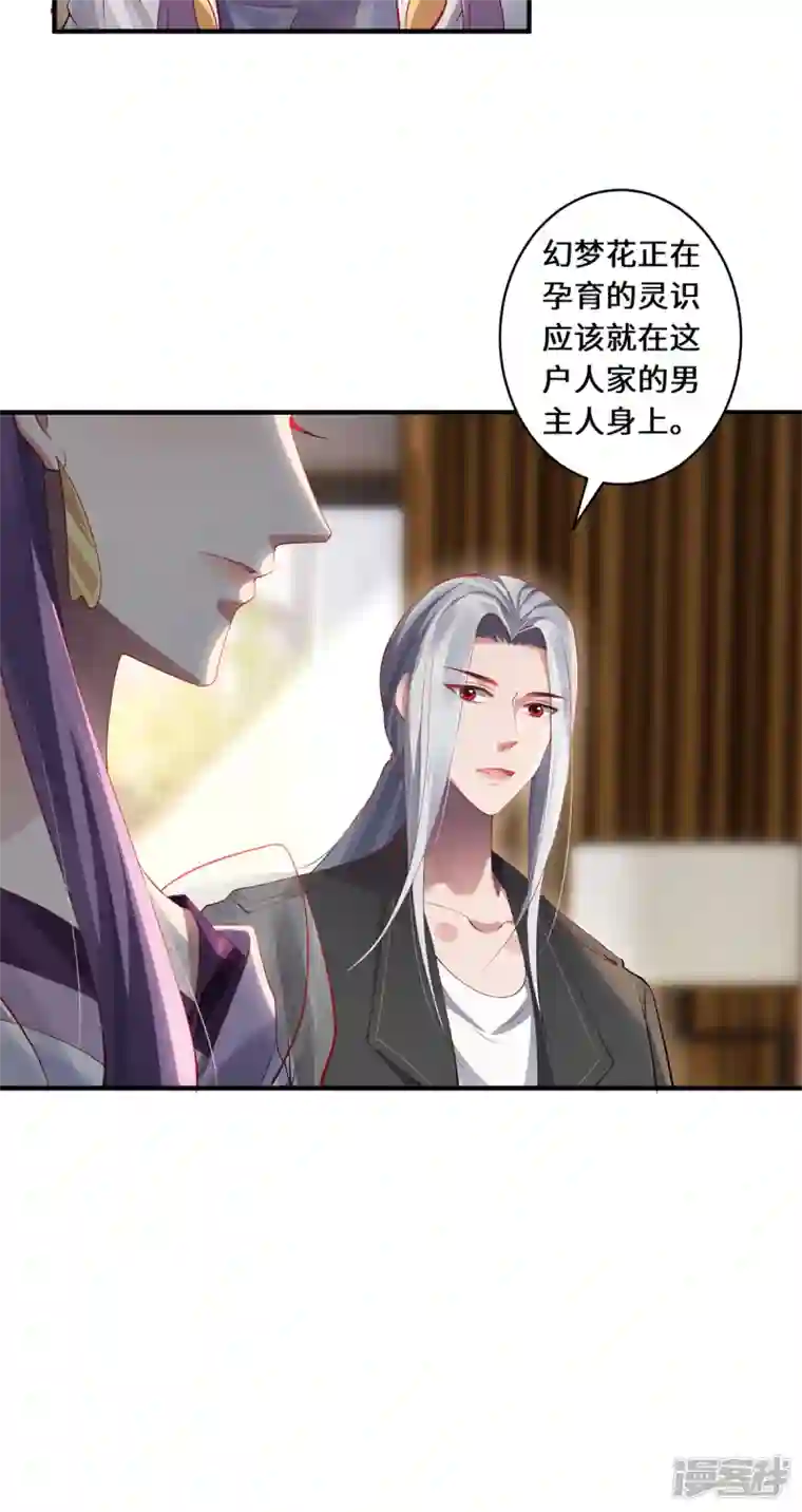 吾本是猫第41话 溯源之力