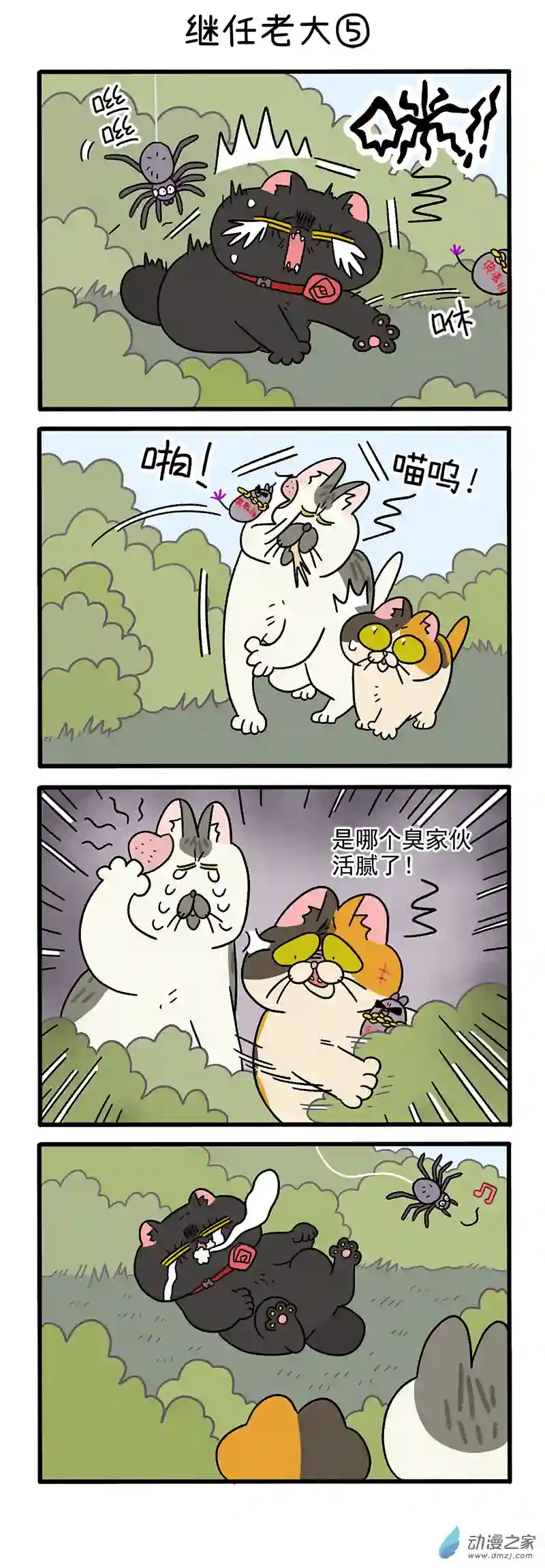 阿满和麦茶第37话下 继任老大