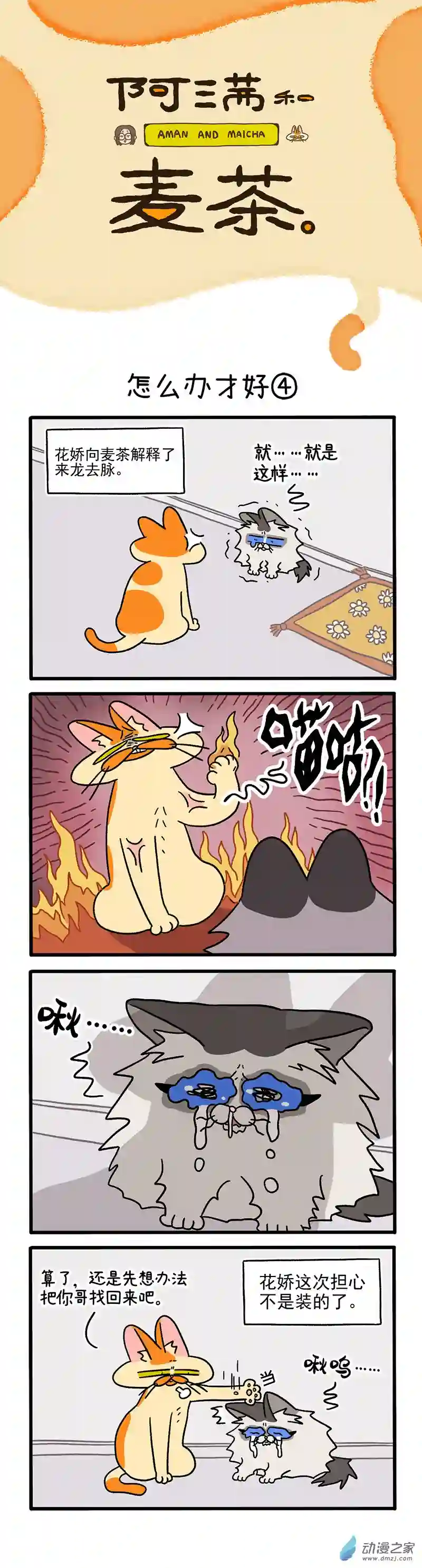 阿满和麦茶第39话下 怎么办才好