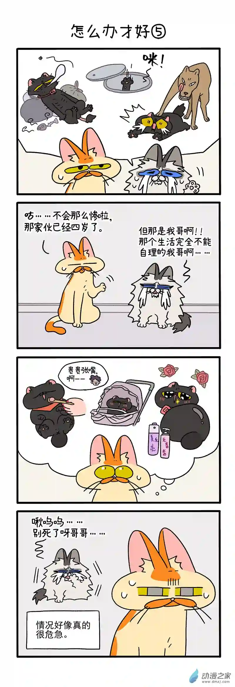 阿满和麦茶第39话下 怎么办才好