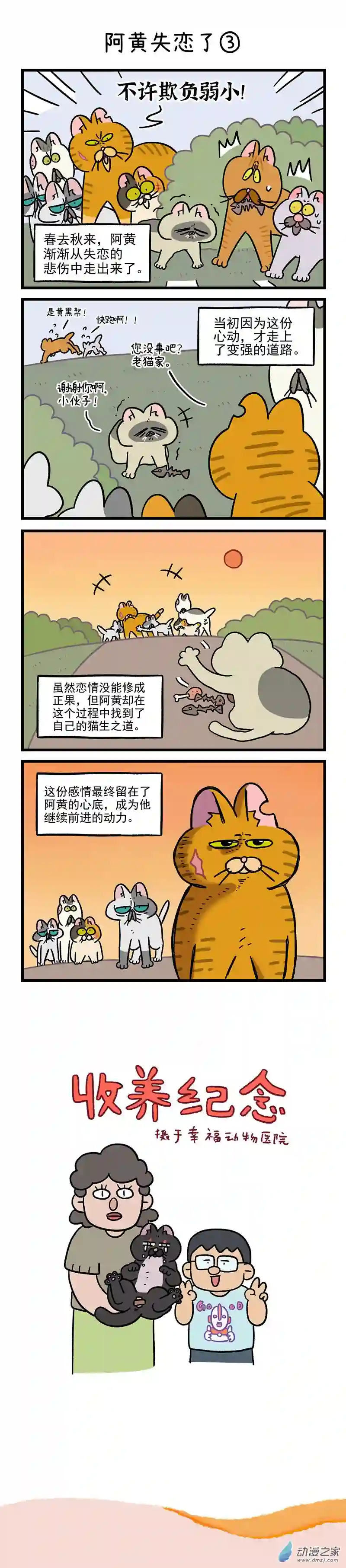 阿满和麦茶番外5 阿黄失恋了