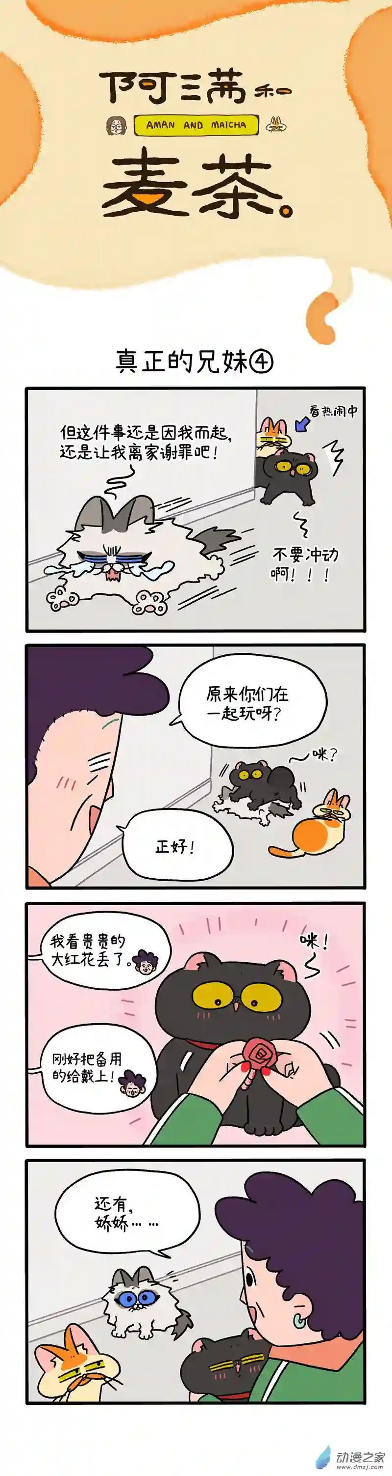 阿满和麦茶第49话下 真正的兄妹