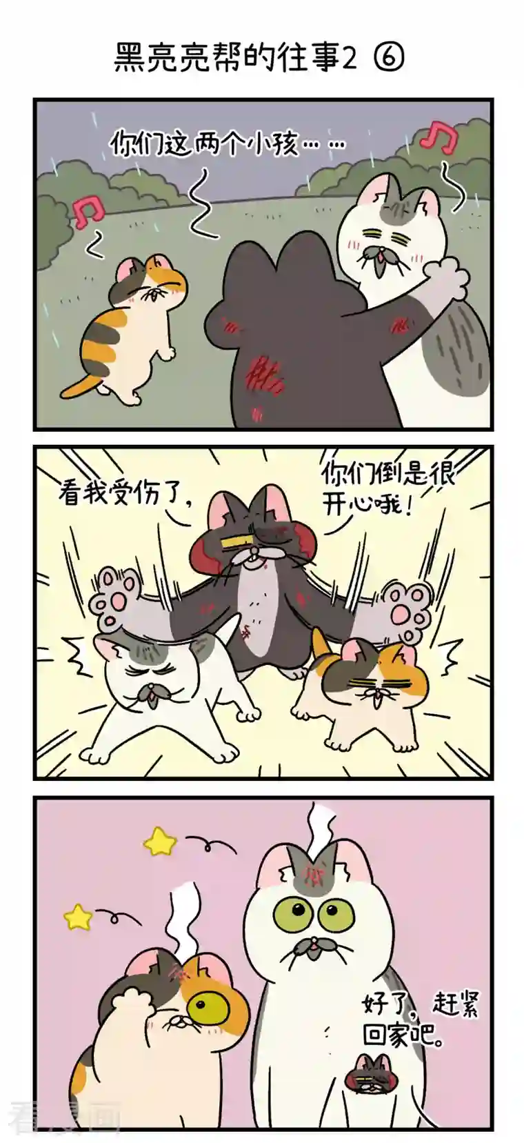 阿满和麦茶番外9下 黑亮亮帮的往事