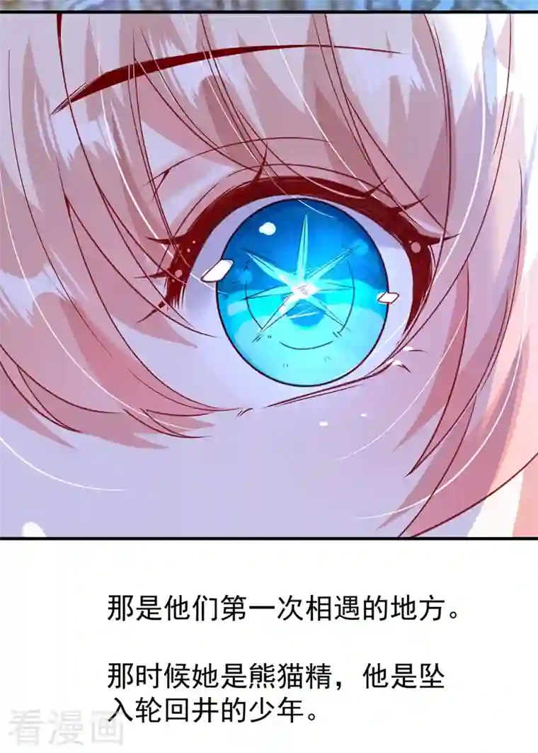 天降萌宝小熊猫：萌妃来袭现代篇128 你要回天界上班吗