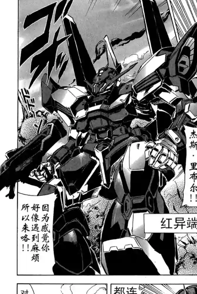 机动战士高达SEED ASTRAY RSP-04