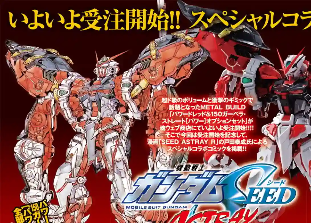 机动战士高达SEED ASTRAY RSP-06